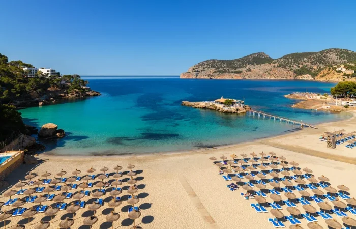 Hiszpania – malownicza plaża na Majorce z turkusową wodą i leżakami pod parasolami. - promoclub.pl