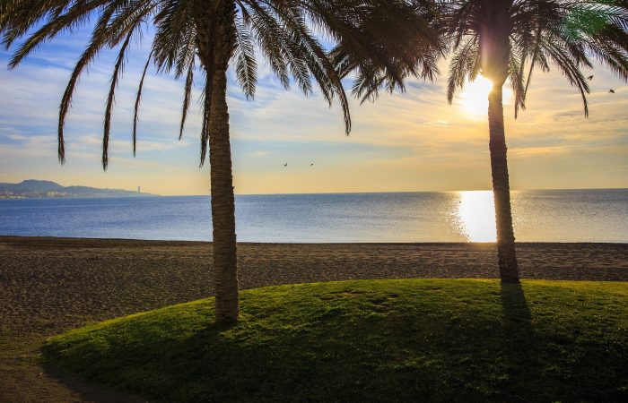 Hiszpania – piaszczysta plaża o zachodzie słońca z palmami i widokiem na spokojne Morze Śródziemne. - promoclub.pl